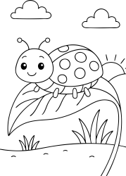 Medium Insect 4