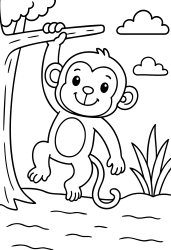 Medium Monkey