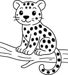 Medium Panther