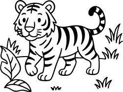 Medium Tiger